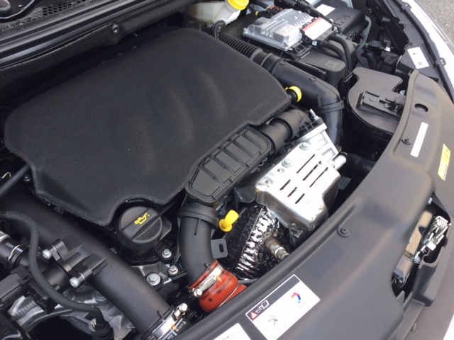 デビューフェア前ですが・・・