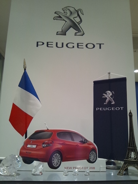 ☆ＮＥＷ　ＰＥＵＧＥＯＴ　208☆