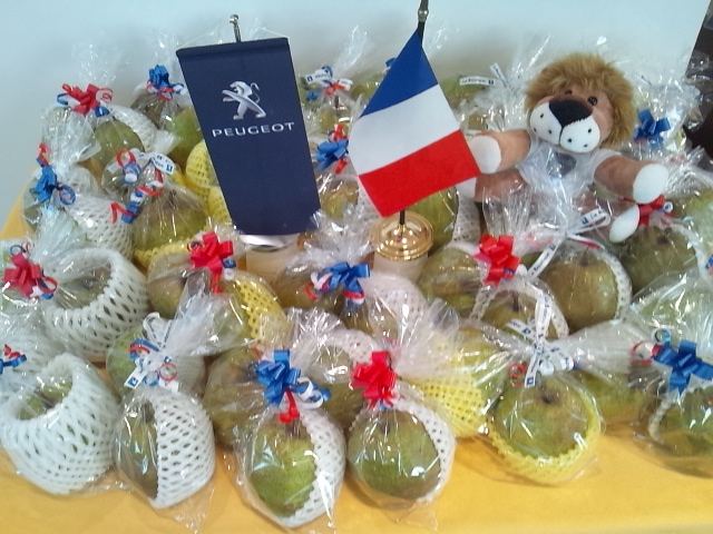 ☆プジョー☆France・map☆