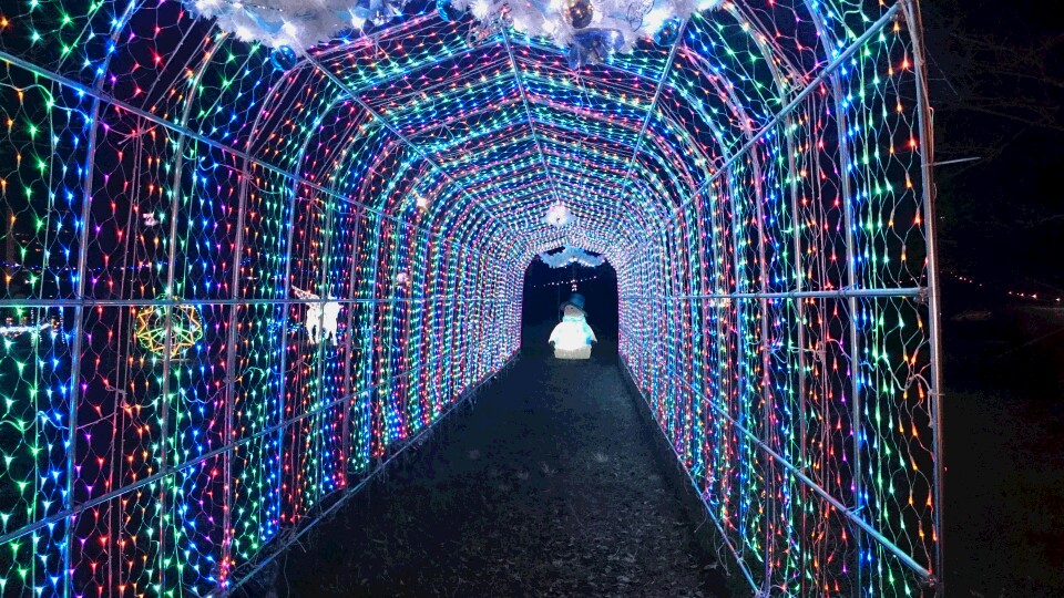 Christmas☆イルミネーション