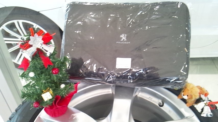 ブランケット入荷♪