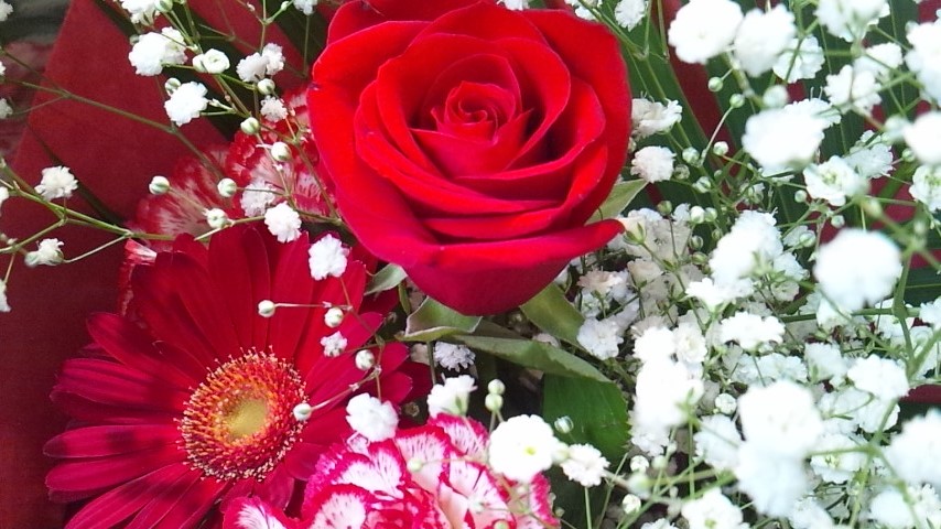 ブランケット入荷♪