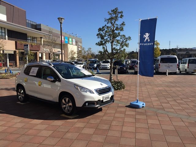 フォレオ展示会♪