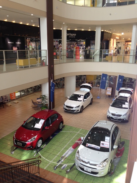 フォレオ展示会　開催中