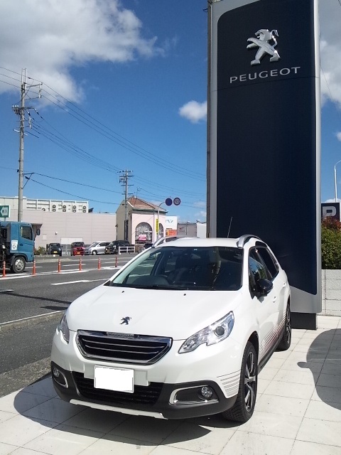 ★NEW・2008・CROSSCITY  ★