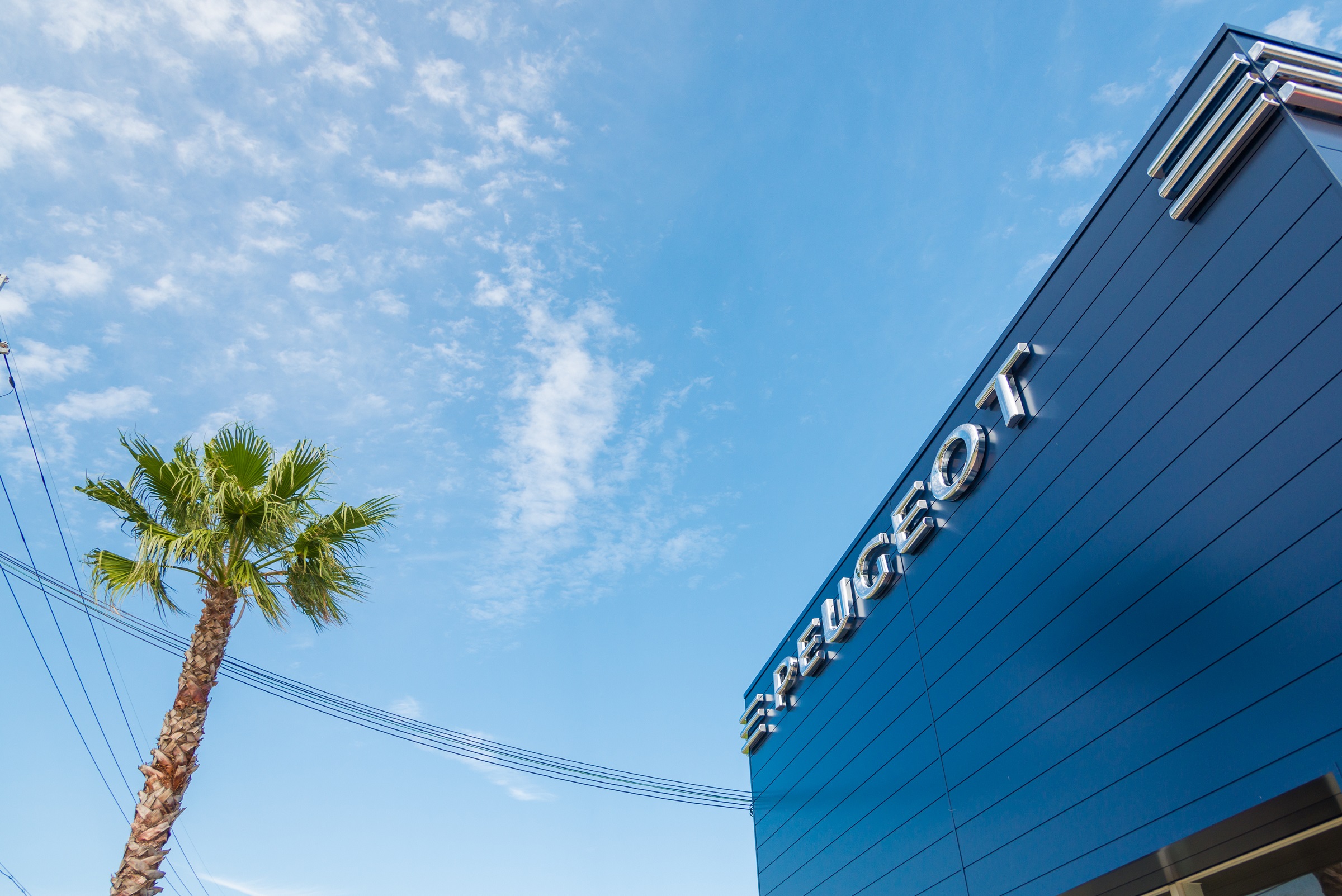 ■□■明日の展示会のお知らせ■□■