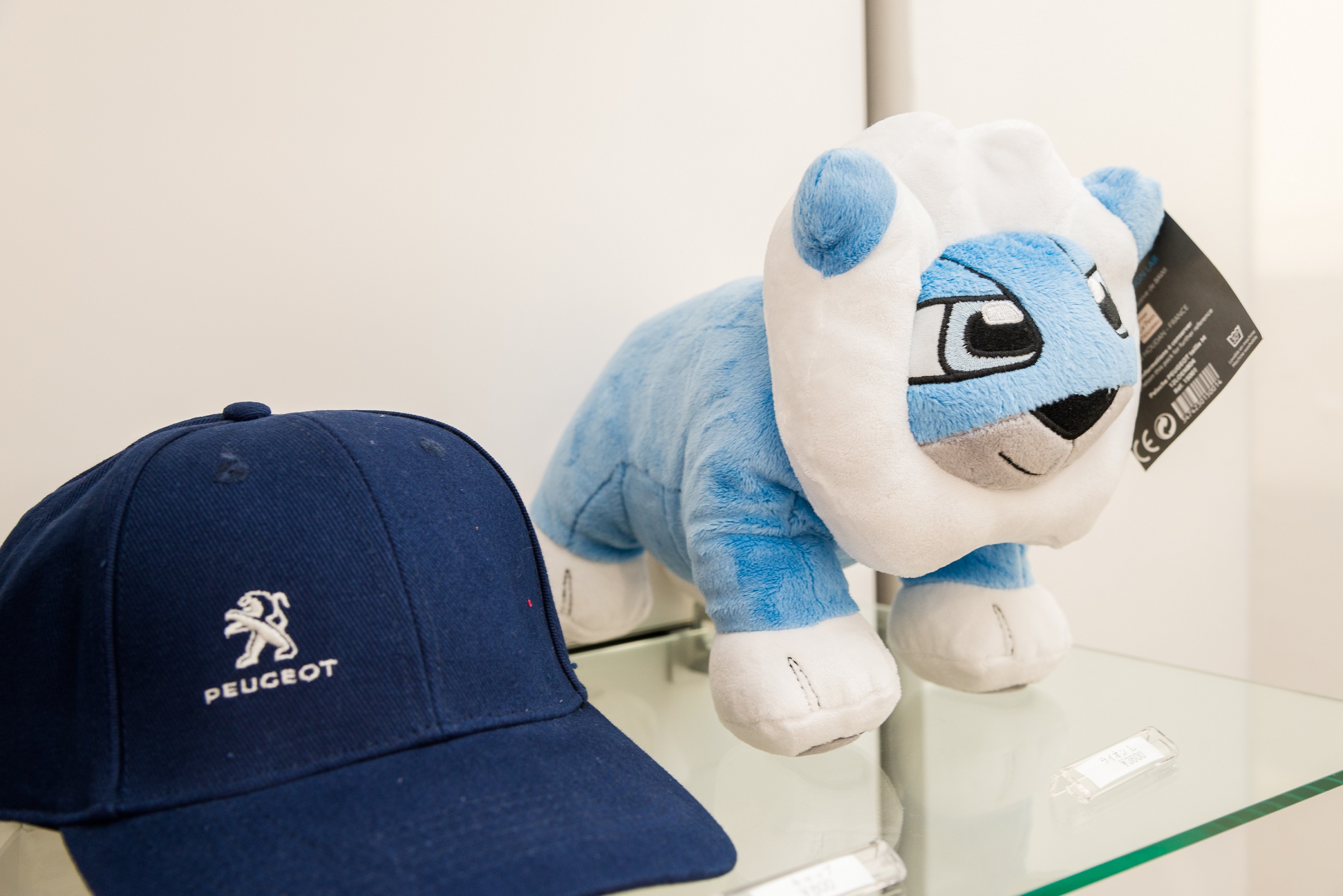 ◆◆◆定休日のお知らせ◆◆◆