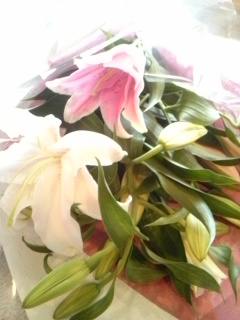 ★☆フォレオ展示会☆★