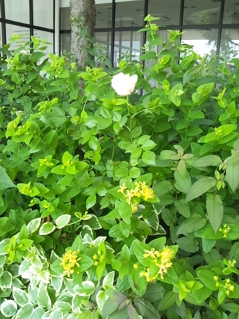 展示会☆たくさんのご来場ありがとうございました♪