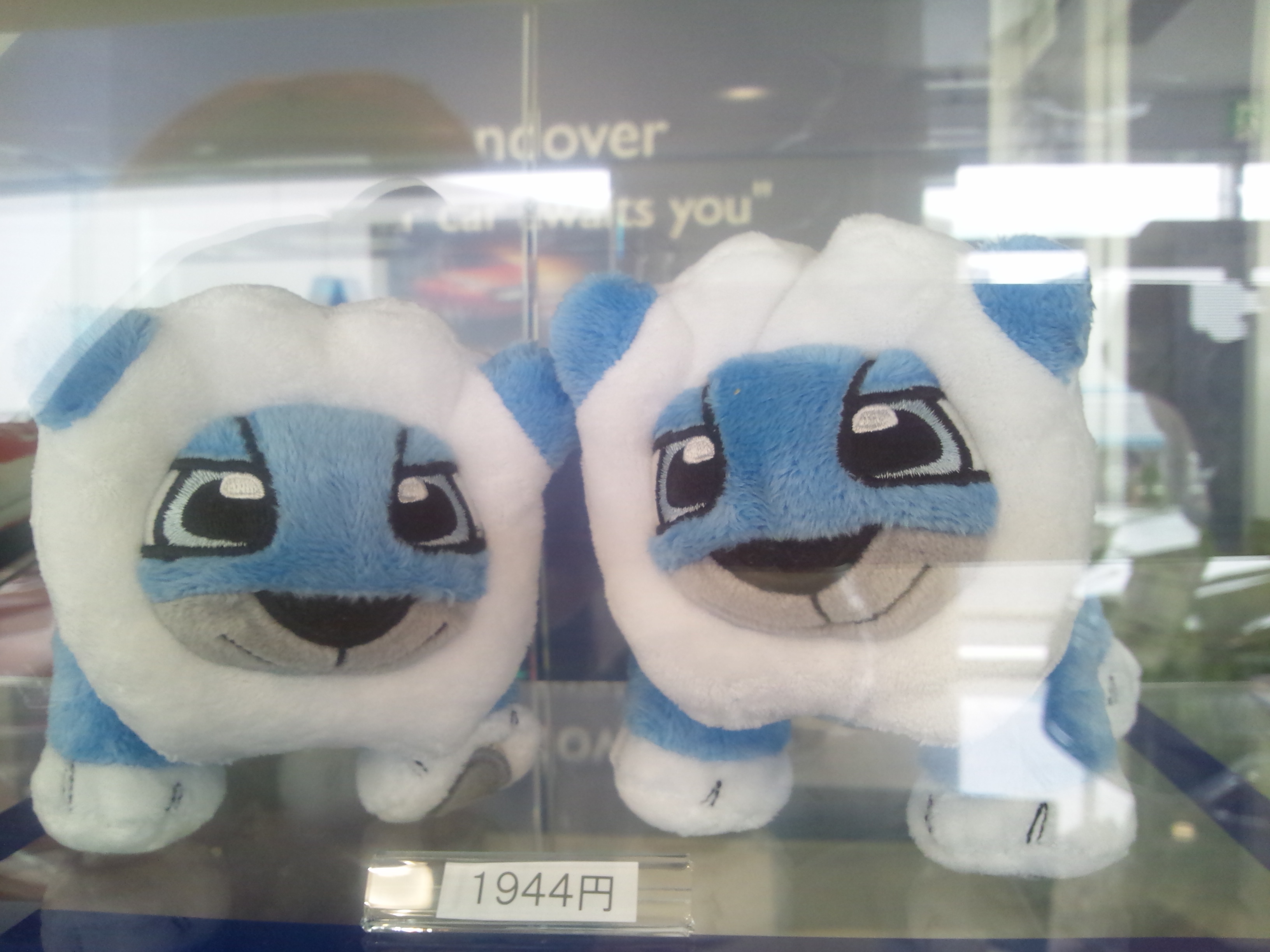 ☆可愛いライオンchan☆