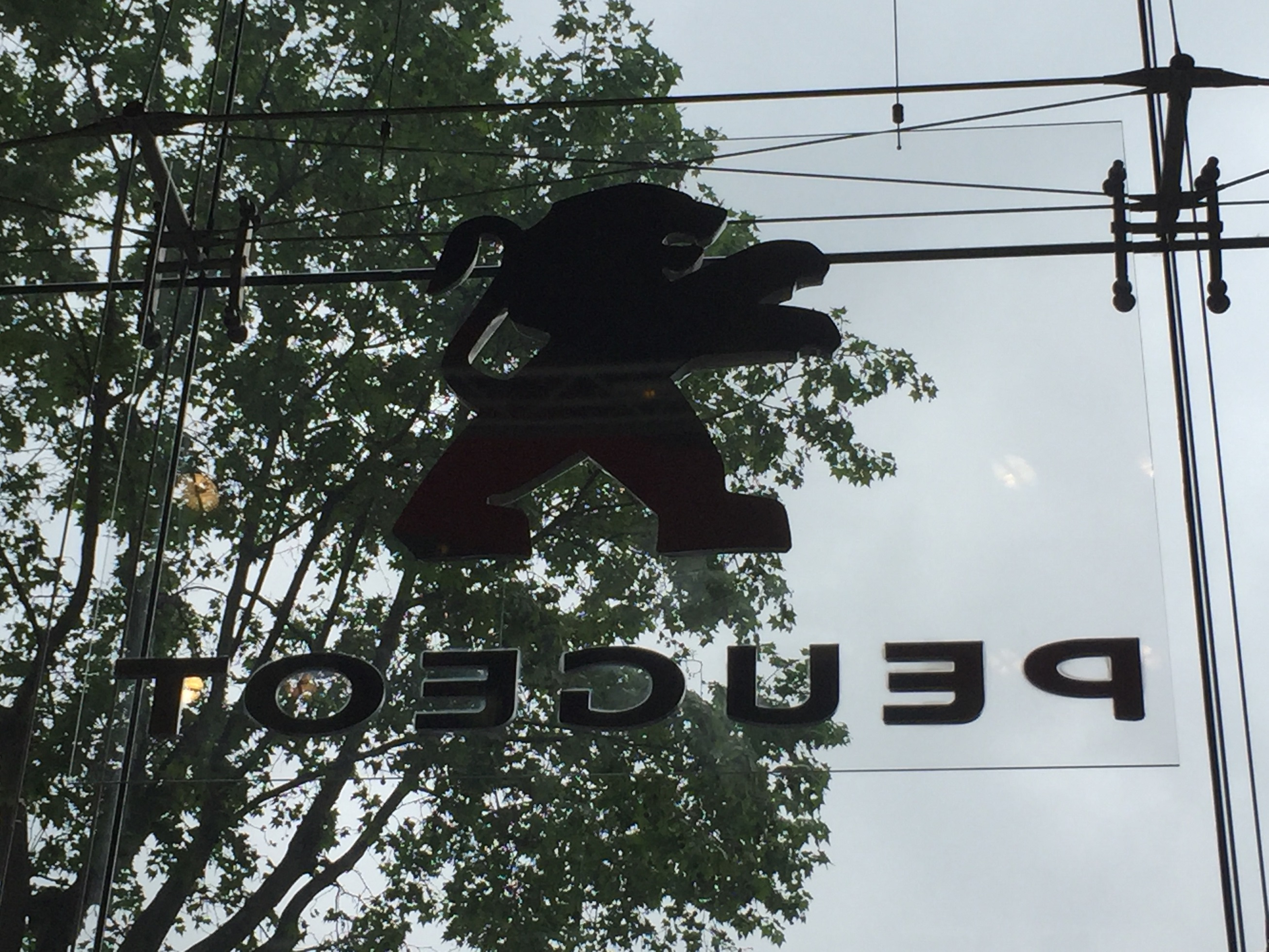 ◆◇◆定休日のお知らせ◇◆◇