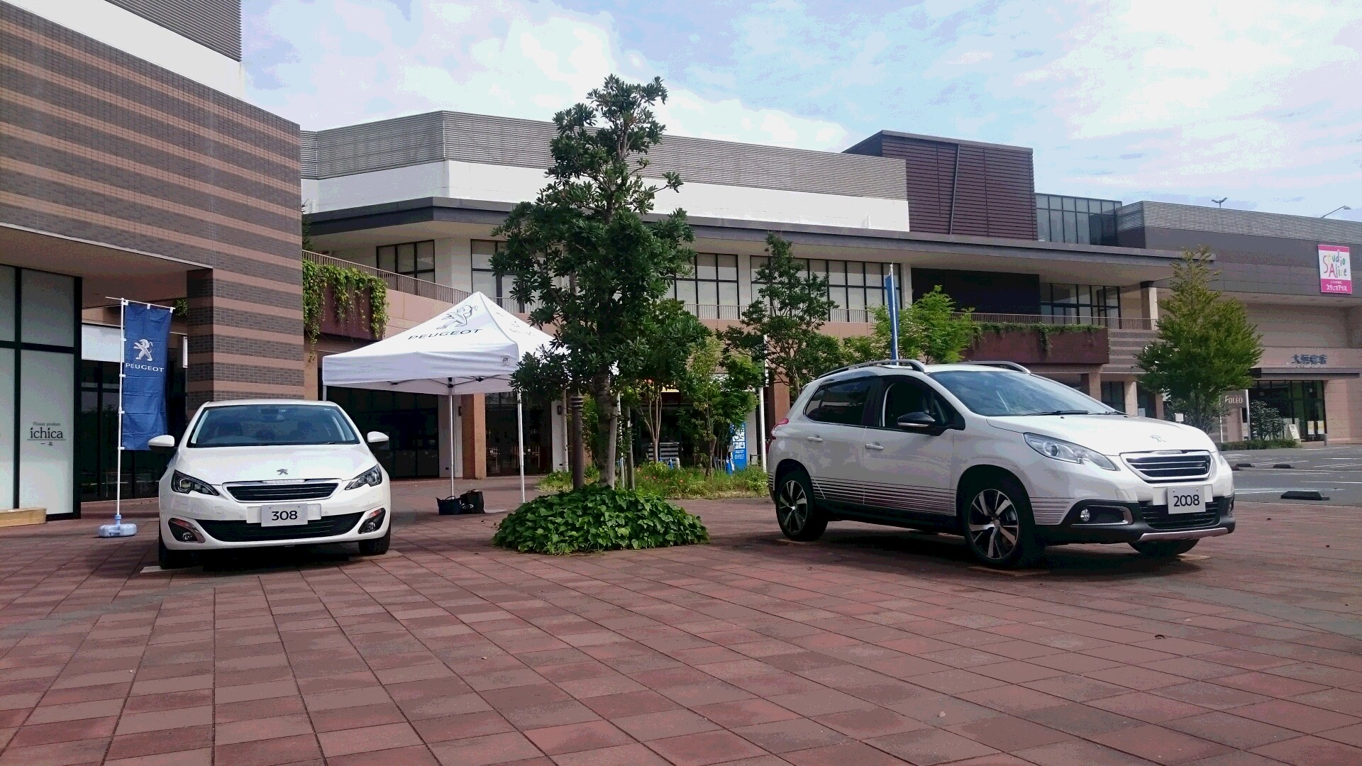 展示会開催中♪♪♪