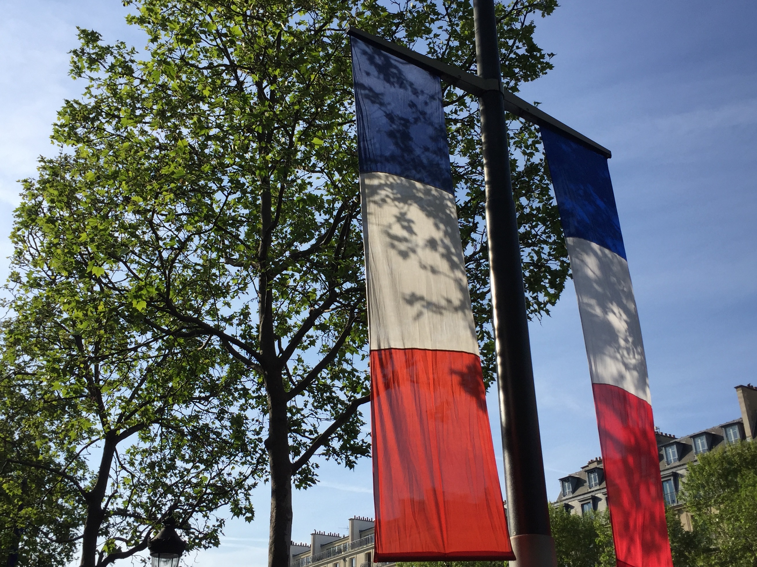 ■□■定休日のお知らせ■□■