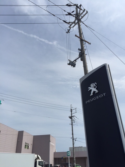 本日は【山の日】♪