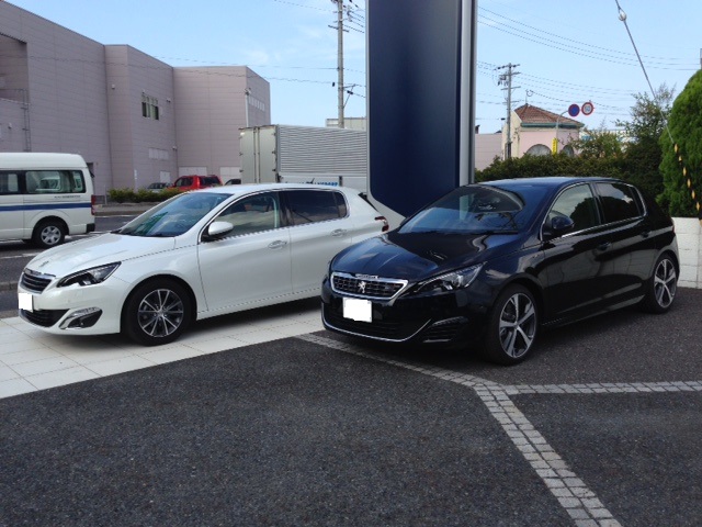 308 GT BlueHDi 試乗車入りました！