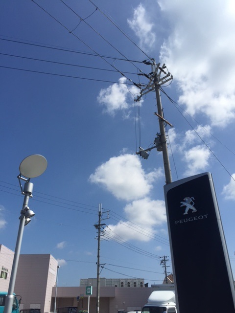 みなさまおはようございます♪♪