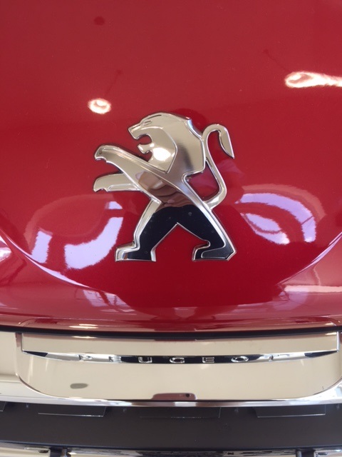 みなさまおはようございます♪♪