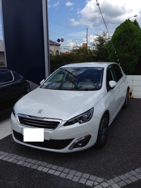 ♪デビュー前の特別内覧会のお知らせ♪