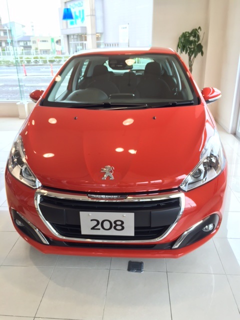 新色【オレンジ・パワー】入荷！！