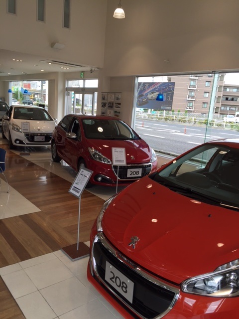 新色【オレンジ・パワー】入荷！！