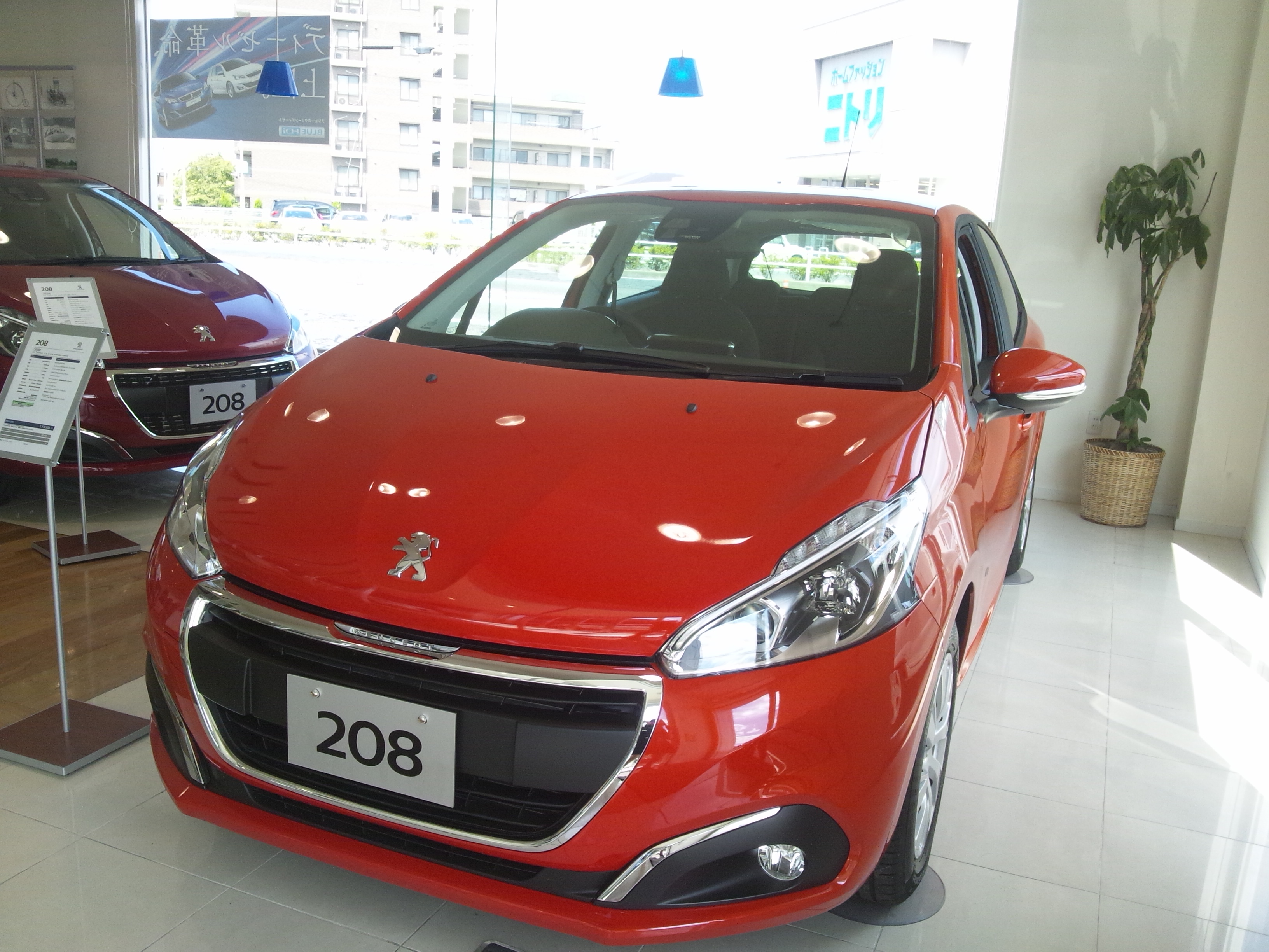 ☆オレンジ☆パワー☆