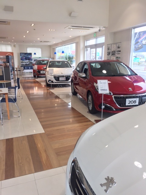 NEW2008★カタログ到着