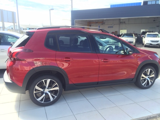 2008デビューフェア開催中です♪