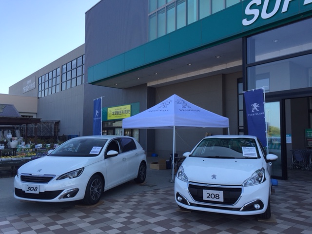 彦根カインズモールにて展示会♪1日目♪