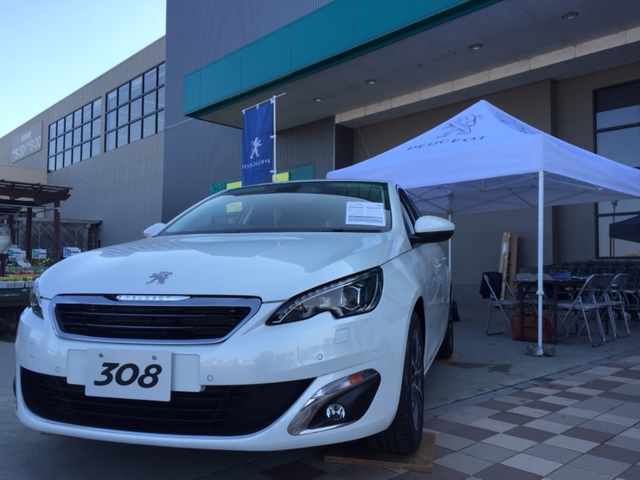 彦根カインズモールにて展示会♪2日目♪