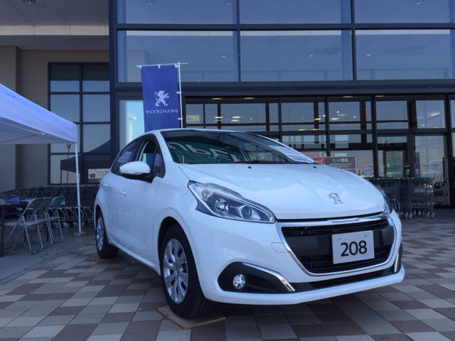 彦根カインズモールにて展示会♪2日目♪