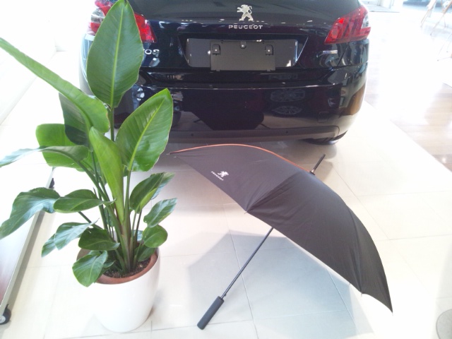 PEUGEOT☆UMBRELLA☆入荷♪