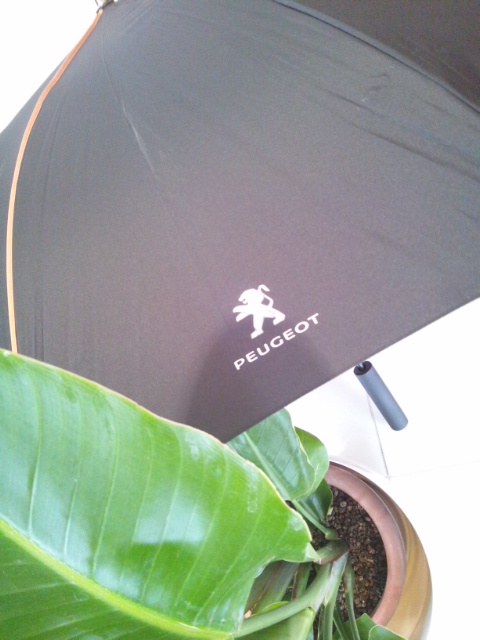 PEUGEOT☆UMBRELLA☆入荷♪