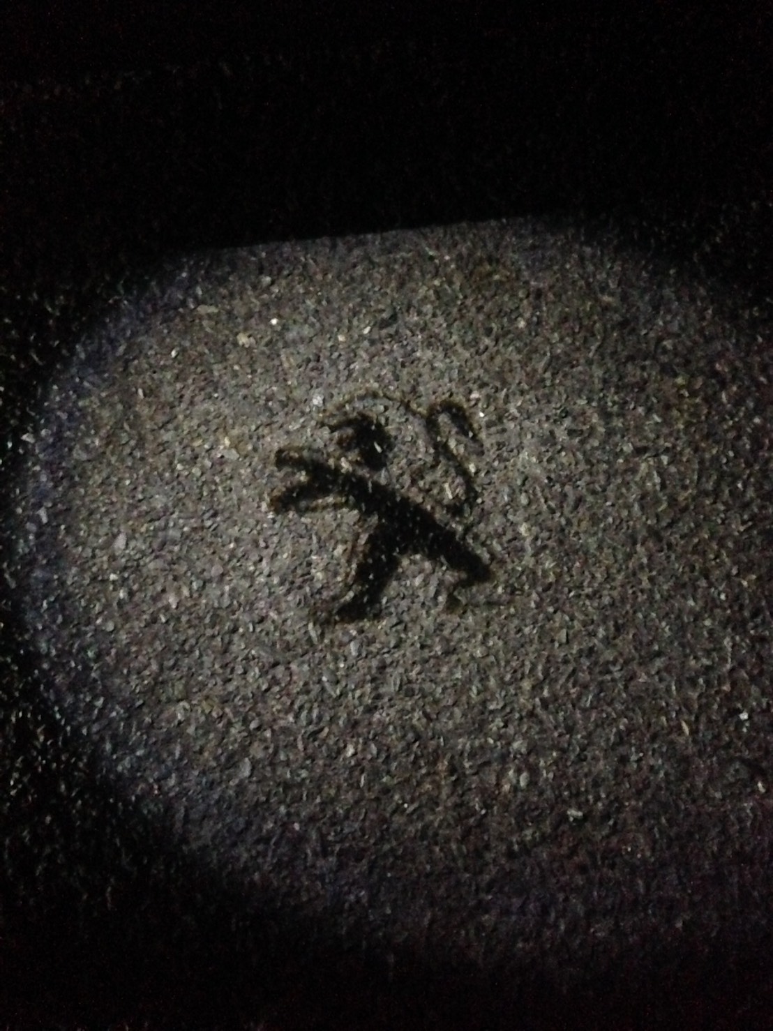 🌼定休日のお知らせ🌼