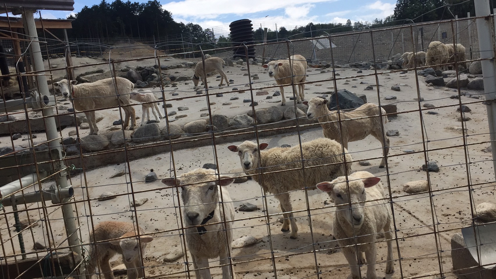 行ってみたかったパン屋さんへ