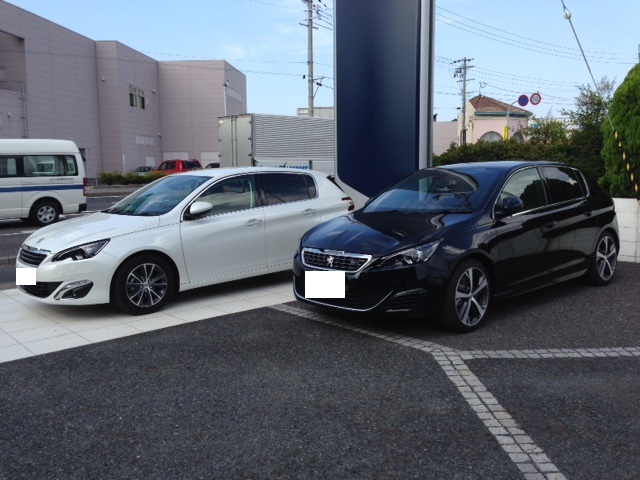 明日の第二火曜日は営業♪♪♪