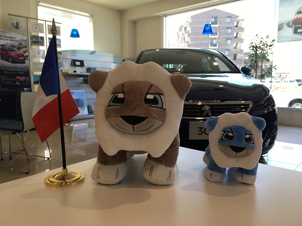 ブラウンorブルー、どっちにしましょう？？