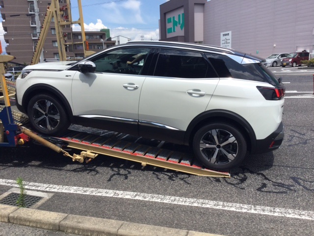 続々と新車が届いております！！