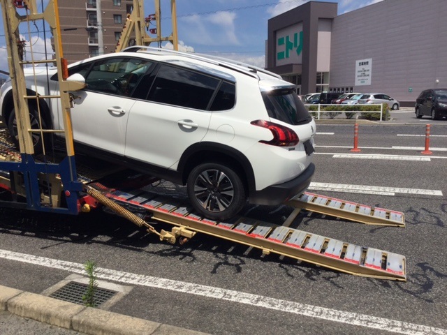 続々と新車が届いております！！