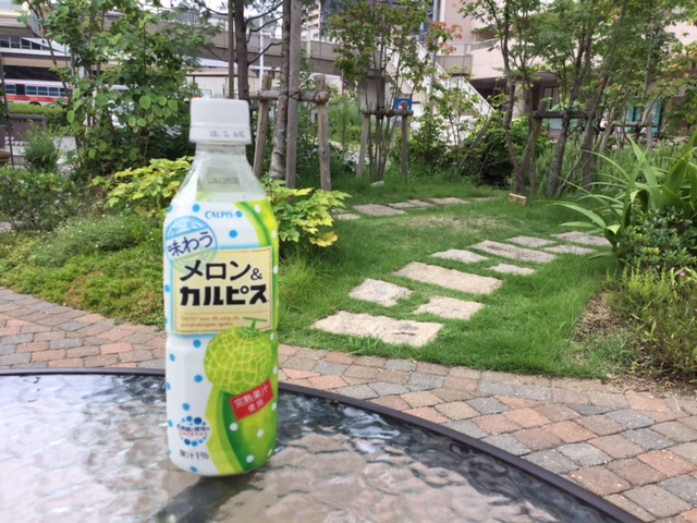 お客様よりいただきました♪♪♪