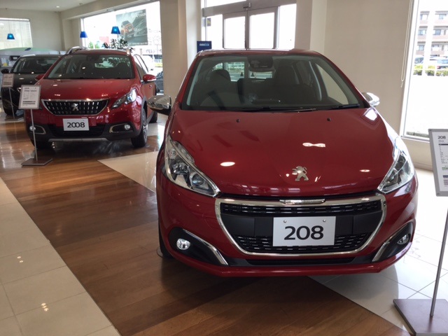 本日より通常営業です！！！