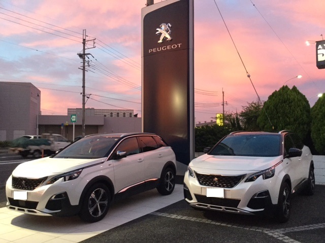 夕日がきれいな日