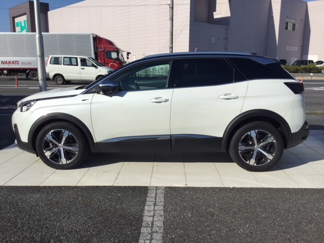 NEW 3008　ご覧頂けます！