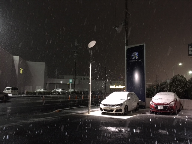本日より雪が降ってきました♪