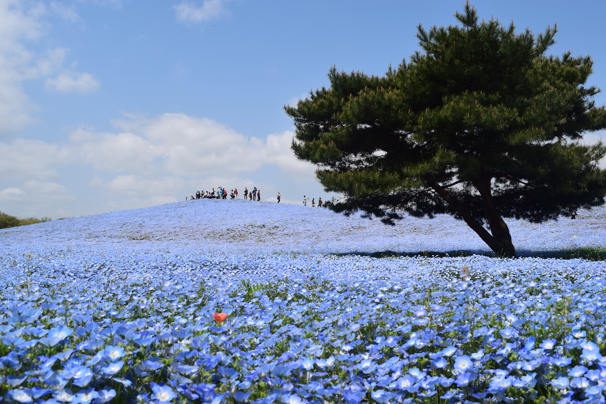 初めてだから素敵なものを♪