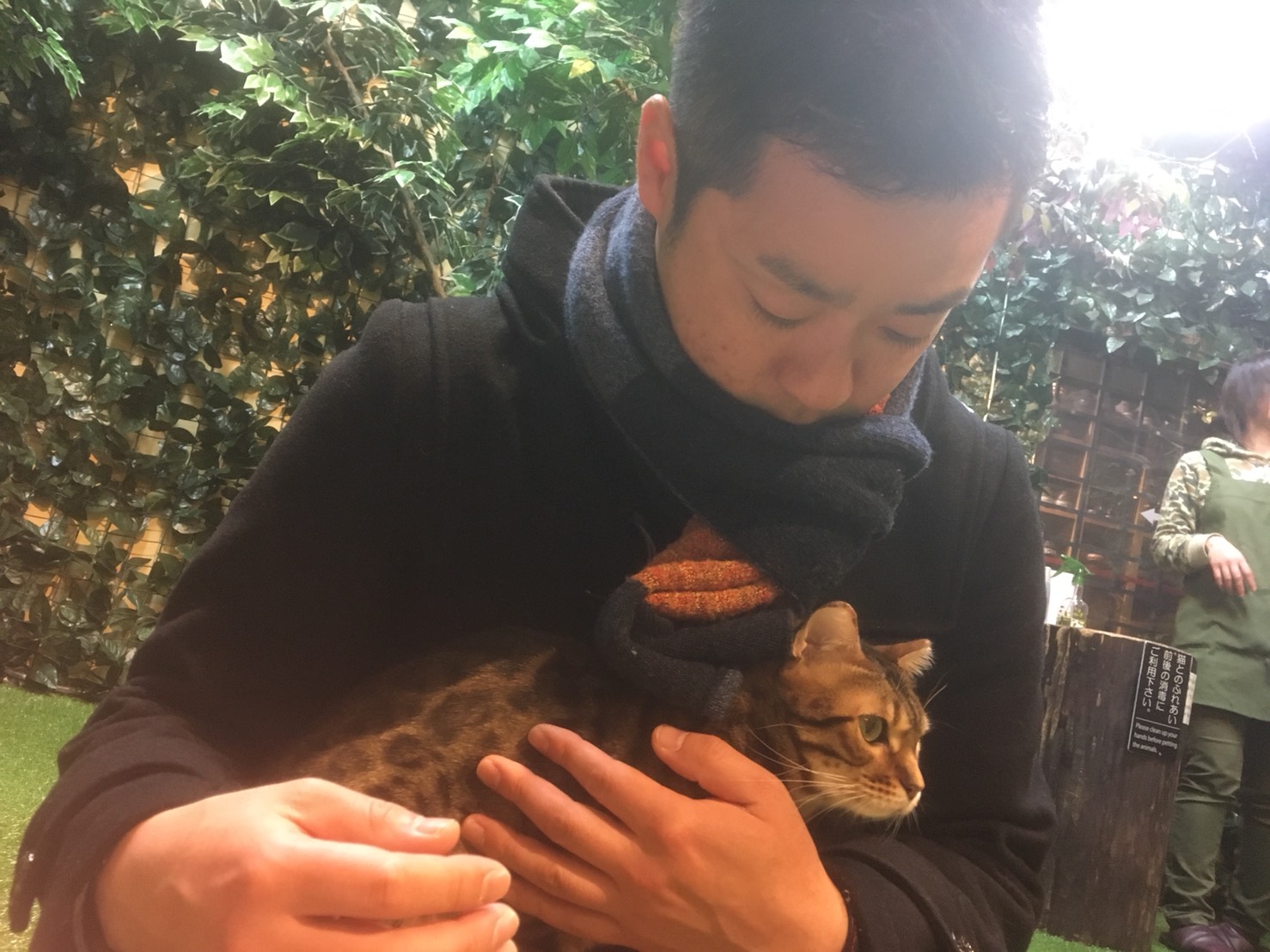 ちっちゃなライオン？