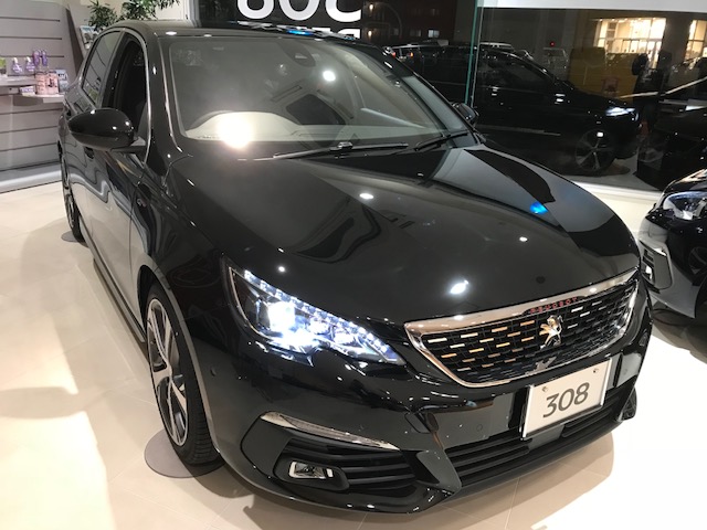 ちっちゃなライオン？