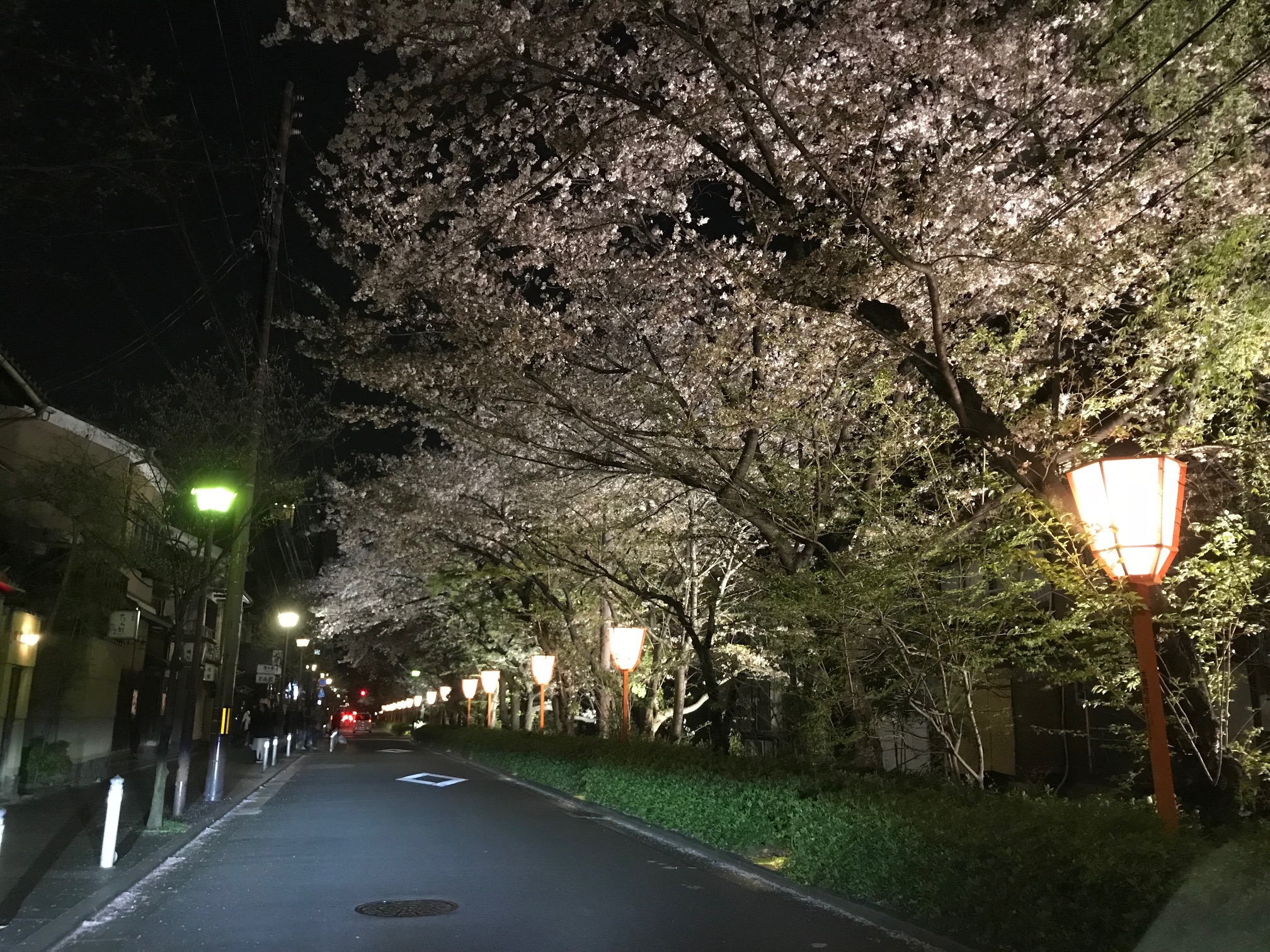 展示会へのご来場誠にありがとうございました！