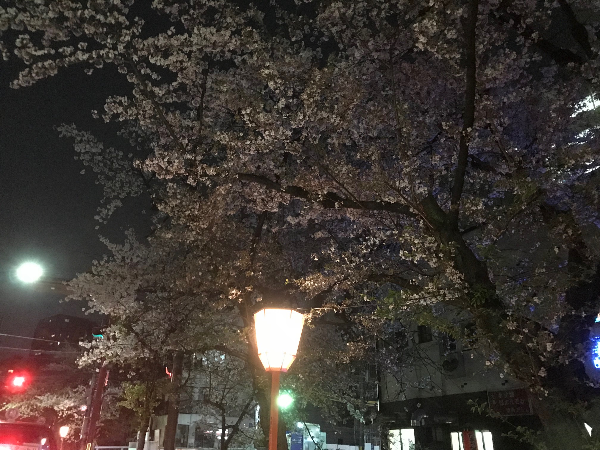 展示会へのご来場誠にありがとうございました！