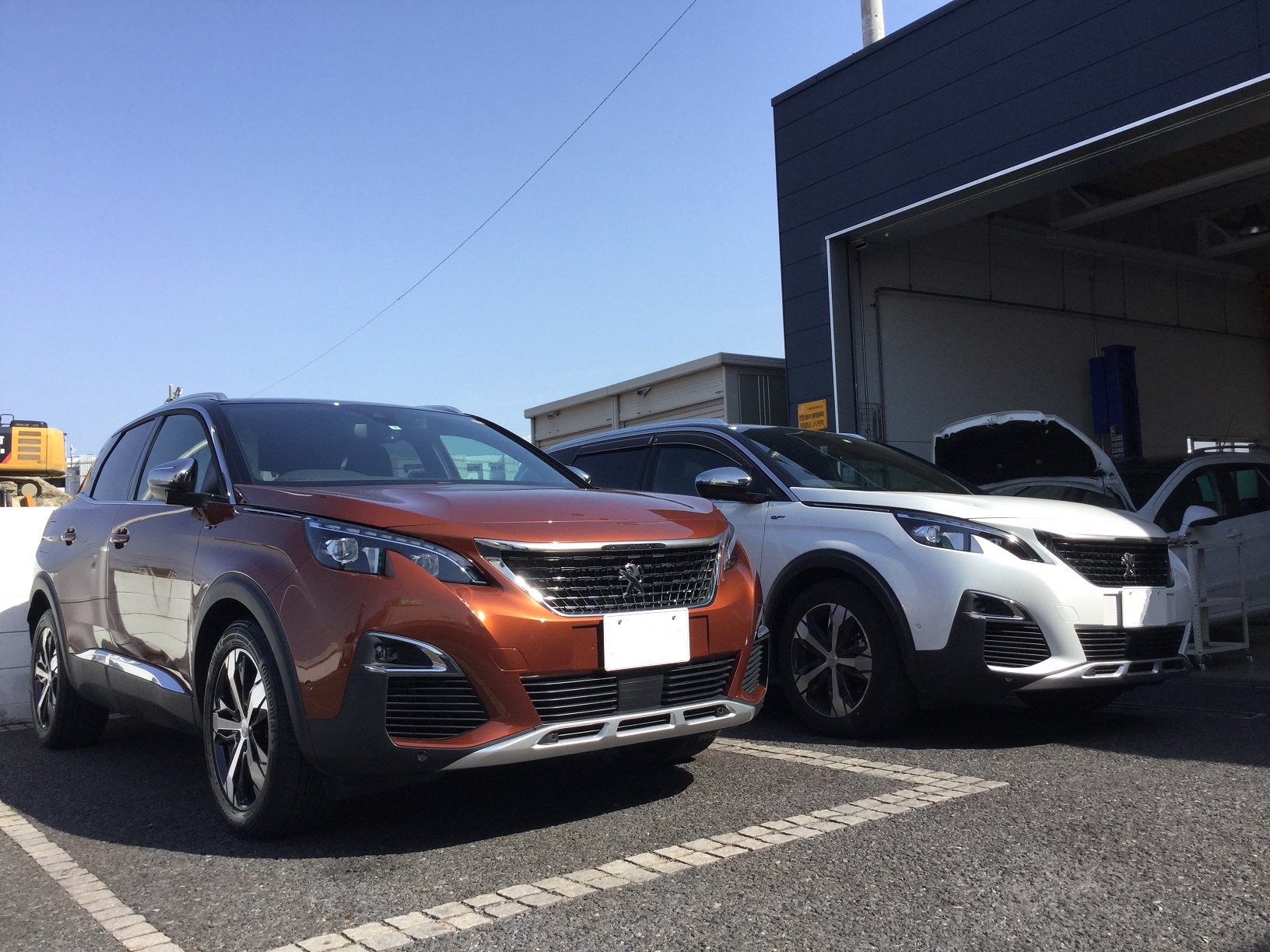 青空と2色のライオン