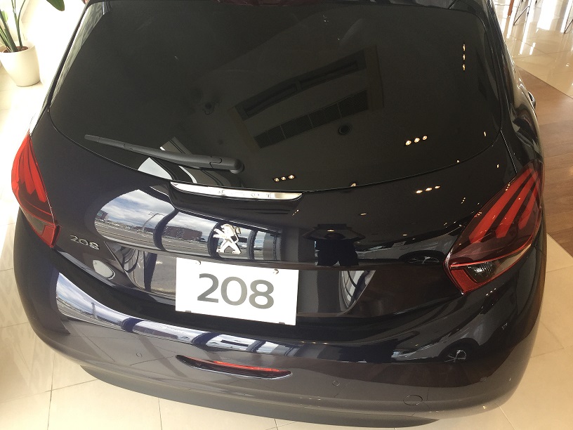 ライオン２０８